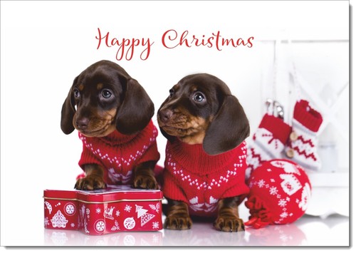 Doodlecards happy christmas - doodlecards,