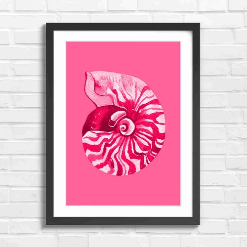 Vintage nautilus shell art - vintage,