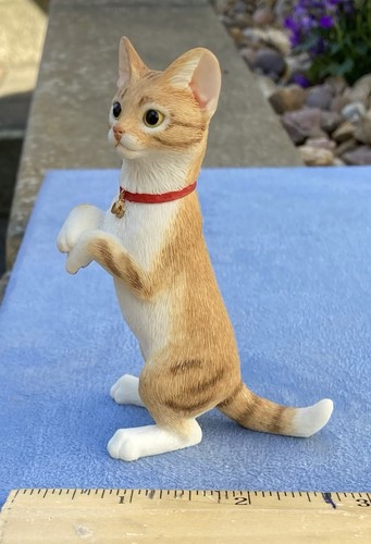 Sherratt and simpson cat - simpson,
