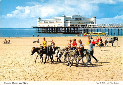 Br91242 donkeys weston super - br91242,