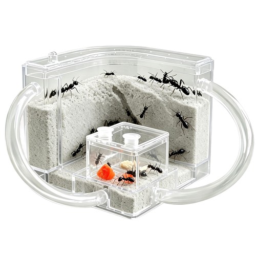Exbepe sand ant farm with - exbepe,