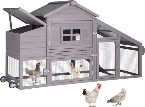 Aivituvin chicken coop - chicken, outdoor