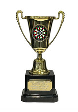 Darts Award Plastic Moment