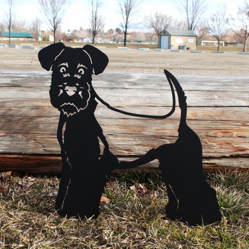 Welsh terrier black - welsh, dog
