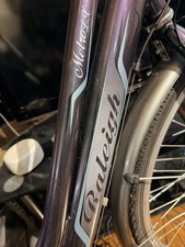 Raleigh Pioneer Metro LX