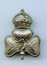 13th Battalion Royal Irish