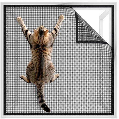 Proof window screen - proof,