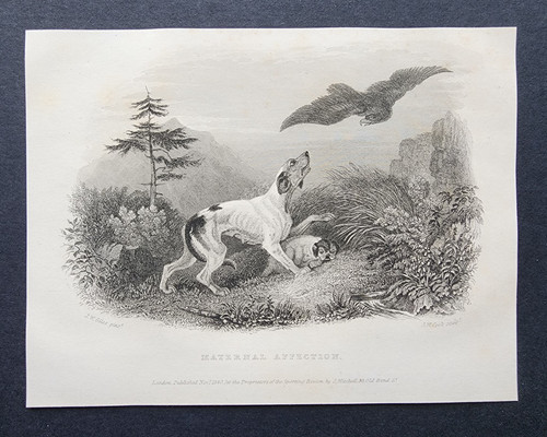 Antique 1840 print hunting - 1840,