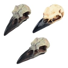 Halloween Raven Skull Decor