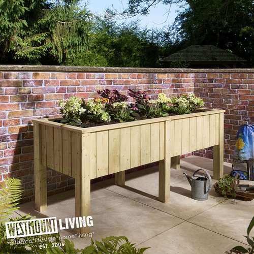 Wooden timber deep root - wooden,