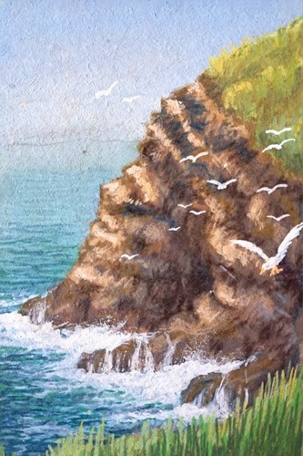 Port isaac cliffs cornwall - cliffs,