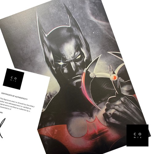 Batman beyond signed ltd - beyond,