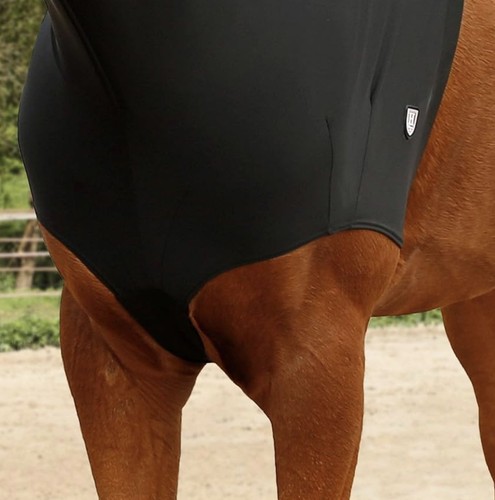 Harrison howard lycra horse - harrison,