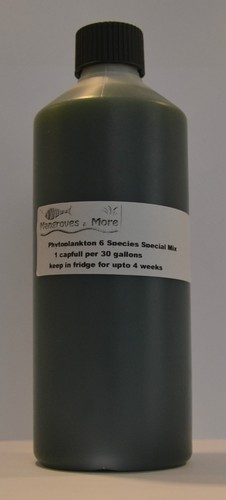 Live marine phytoplankton - live,