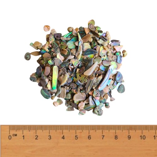 Tiny micro seashells sea - micro,