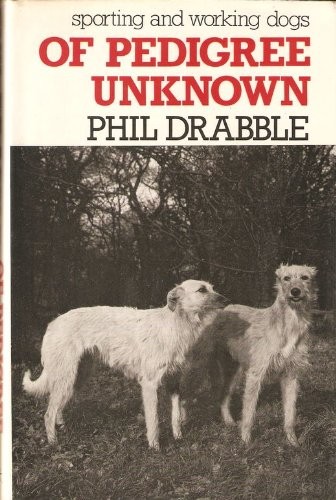 Pedigree unknown sporting - unknown:,