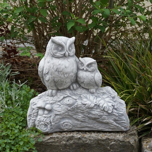 Pair owls owl - pair, on