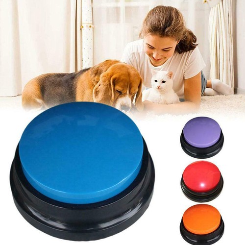 Dog training communication - dog,