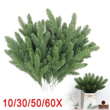 .10-60X Pine Needles Plant