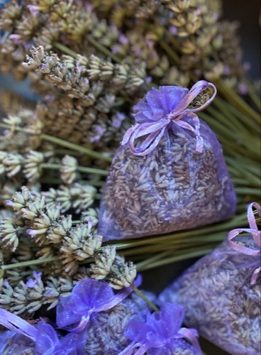 Dried lavender flowers clothes - dried,