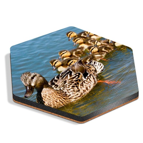 Hexagon mdf coaster mallard - mdf,