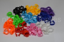 Pigeon leg bands rings - leg,