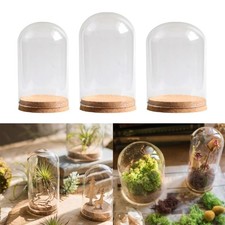 2 Pack Mini Glass Dome Display