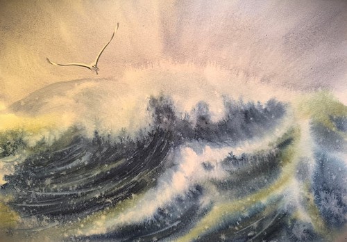 Birds seagull waves original - seagull,