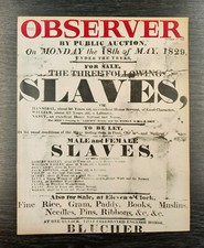 Observer Magazine: Muriel