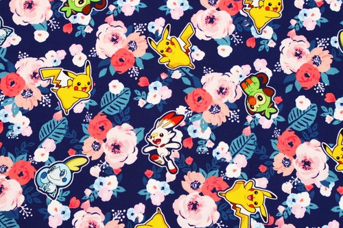 Pocket monster pokemon pikachu - monster,