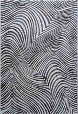 Contemporary Zebra style Arty