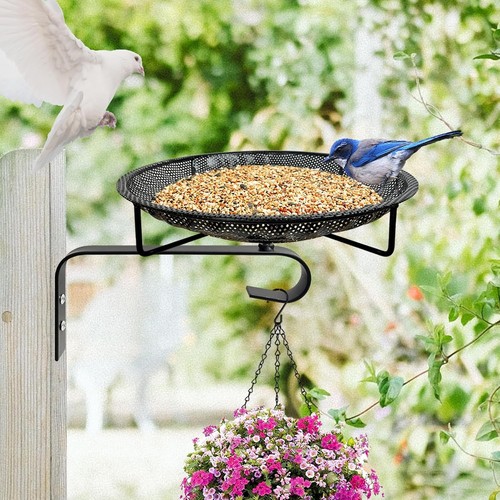 Wall mounted bird feeder - mounted,