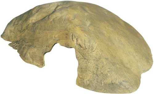 Exo terra reptile - reptile, cave