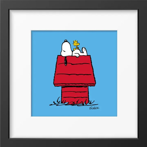 Peanuts snoopy woodstock - peanuts, house
