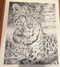 Limited Edition Wildlife