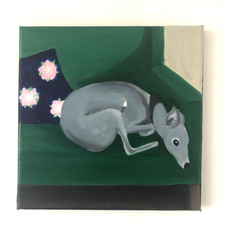 Oil Portrait of Whippet on