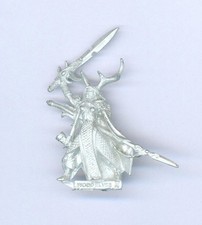 CITADEL WARHAMMER WOOD ELF LORD HERO NOBLE B
