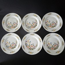 Six Aynsley Cottage Garden Bone China Fluted Plates 16cm Teaplate Cake England