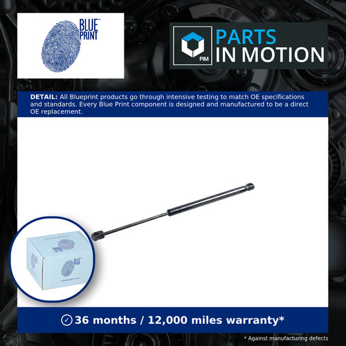 Boot gas strut - boot, fits