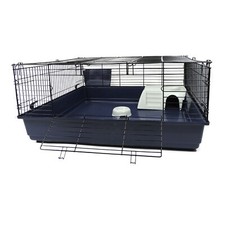 Rabbit guinea pig large indoor - guinea,