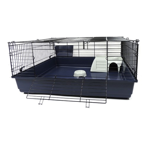 Rabbit guinea pig - pig, large