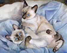 Giclee Print Siamese Kitten