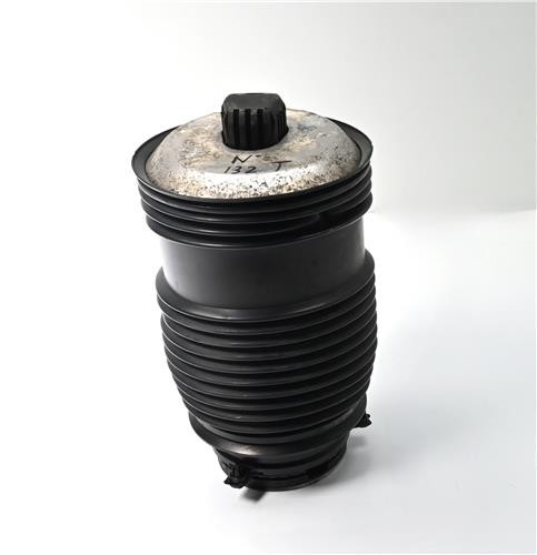 A2053200725 rear left air - rear,