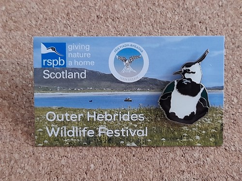 Rspb lapwing charity - charity, badge