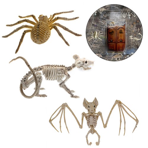 Halloween skeleton rat spider - halloween,