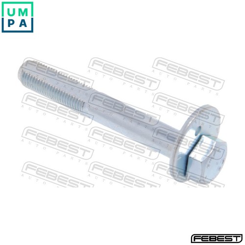 Camber correction screw - camber,
