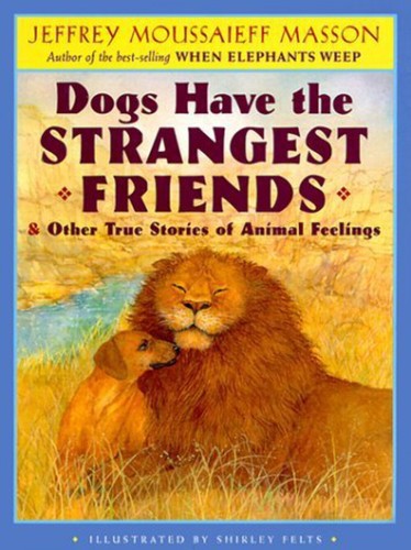 Dogs have the strangest - have,