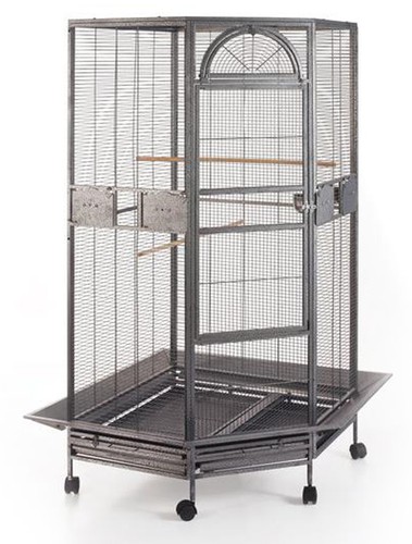 Large corner bird flight - 63", x-large