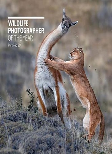 Wildlife photographer the - photographer, of