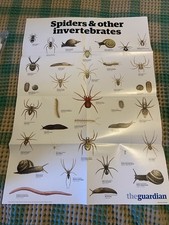 THE GUARDIAN Spiders and other